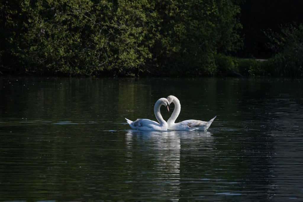 Het verhaal achter Kees Luijckx en zijn vriendin Sanne Clements