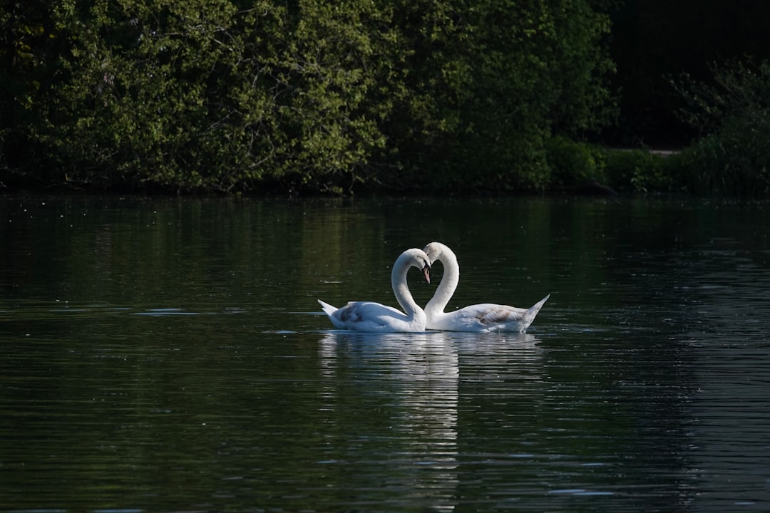 Het verhaal achter Kees Luijckx en zijn vriendin Sanne Clements